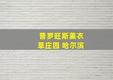 普罗旺斯薰衣草庄园 哈尔滨